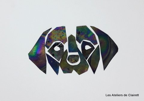 animaux en interférométrie sur couche mince