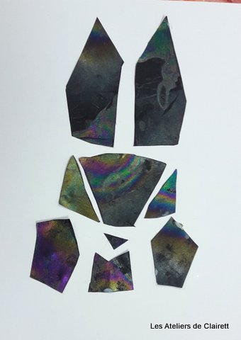 animaux en interférométrie sur couche mince