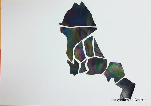 animaux en interférométrie sur couche mince