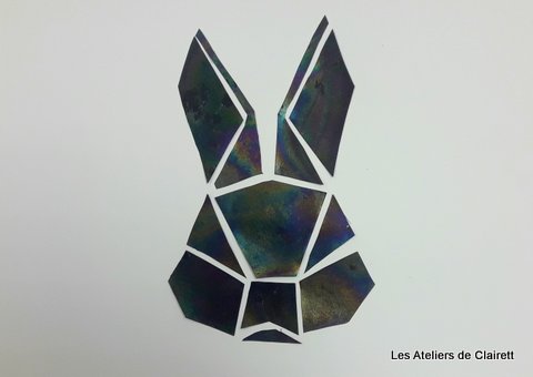 animaux en interférométrie sur couche mince