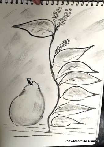 dessin fusain nature morte