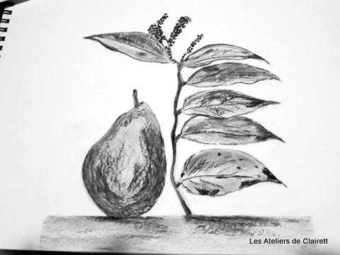 dessin fusain nature morte