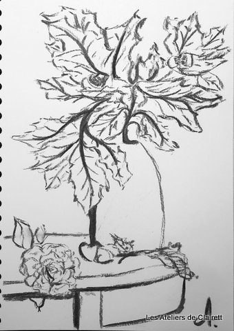 croquis au trait fusain