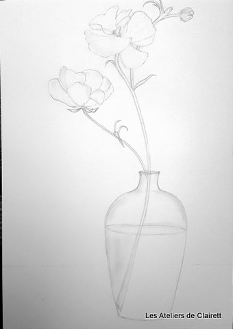 Méthode de prise de mesure - nature morte