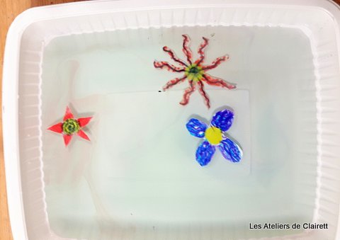 Jardin éphémère et capillarité