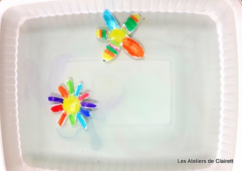 Jardin éphémère et capillarité