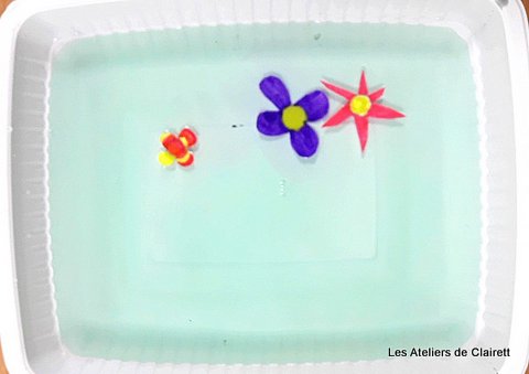 Jardin éphémère et capillarité