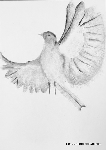 Dessiner le mouvement!