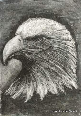 aigle fusain fond noir