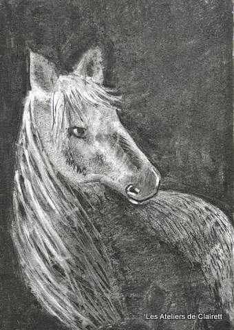 cheval fusain fond noir