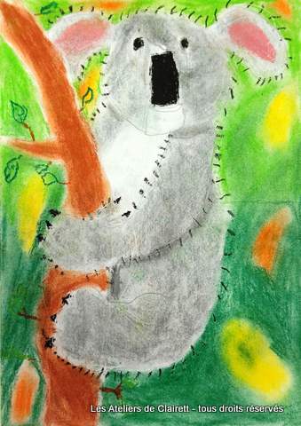 koalas aux pastels secs et craies grasses mediatheque enfant