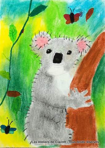 koalas aux pastels secs et craies grasses mediatheque enfant