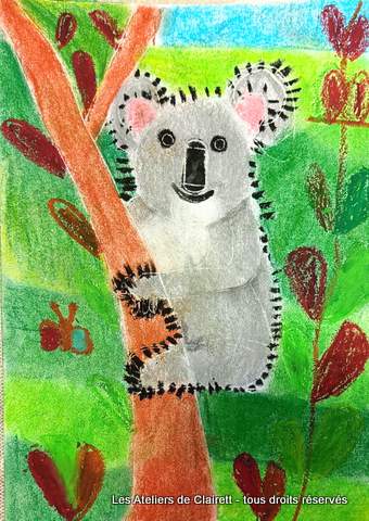 koalas aux pastels secs et craies grasses mediatheque enfant