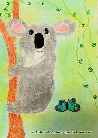 koalas aux pastels secs et craies grasses mediatheque enfant