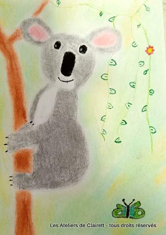 koalas aux pastels secs et craies grasses mediatheque enfant